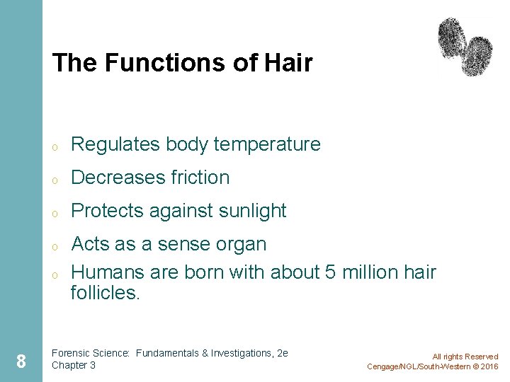 The Functions of Hair o Regulates body temperature o Decreases friction o Protects against