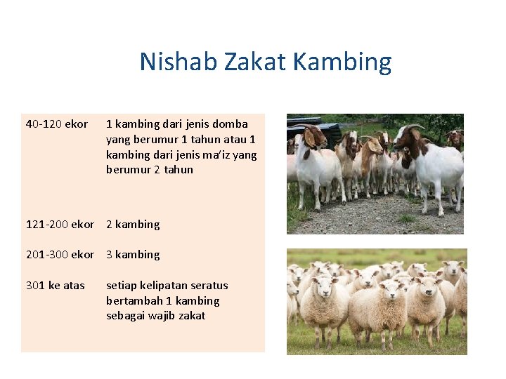 Nishab Zakat Kambing 40 -120 ekor 1 kambing dari jenis domba yang berumur 1 Nishab Zakat Kambing 40 -120 ekor 1 kambing dari jenis domba yang berumur 1
