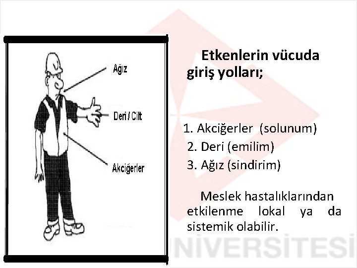 Etkenlerin vücuda giriş yolları; 1. Akciğerler (solunum) 2. Deri (emilim) 3. Ağız (sindirim) Meslek