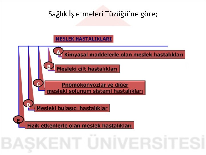 Sağlık İşletmeleri Tüzüğü’ne göre; 