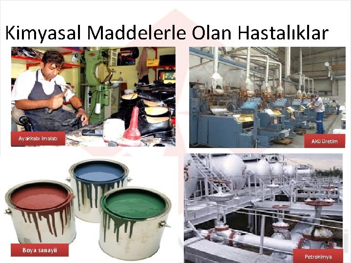 Kimyasal Maddelerle Olan Hastalıklar Ayakkabı imalatı Boya sanayii Akü üretim Petrokimya 