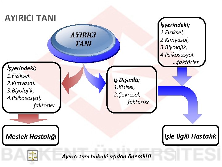 AYIRICI TANI İşyerindeki; 1. Fiziksel, 2. Kimyasal, 3. Biyolojik, 4. Psikososyal, …faktörler İş Dışında;