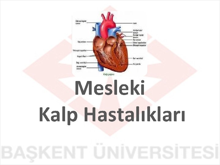 Mesleki Kalp Hastalıkları 