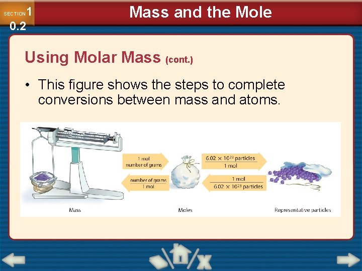 1 0. 2 SECTION Mass and the Mole Using Molar Mass (cont. ) •