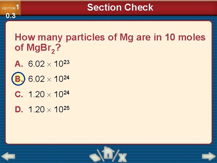 1 0. 3 SECTION Section Check How many particles of Mg are in 10