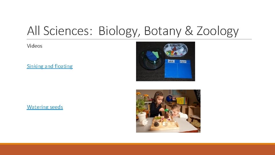 All Sciences: Biology, Botany & Zoology Videos Sinking and floating Watering seeds 