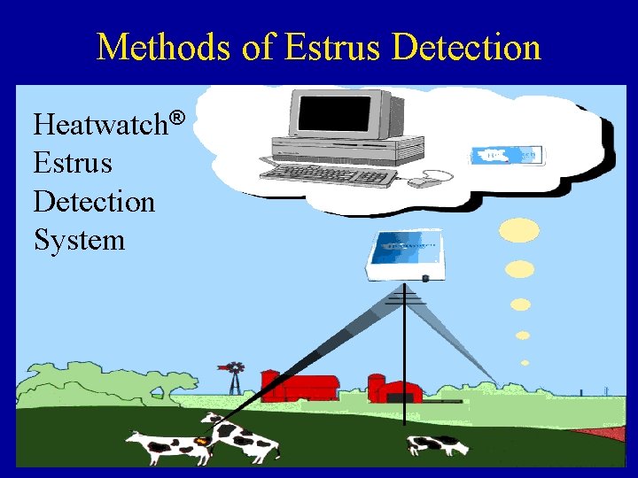 Methods of Estrus Detection Heatwatch® Estrus Detection System 