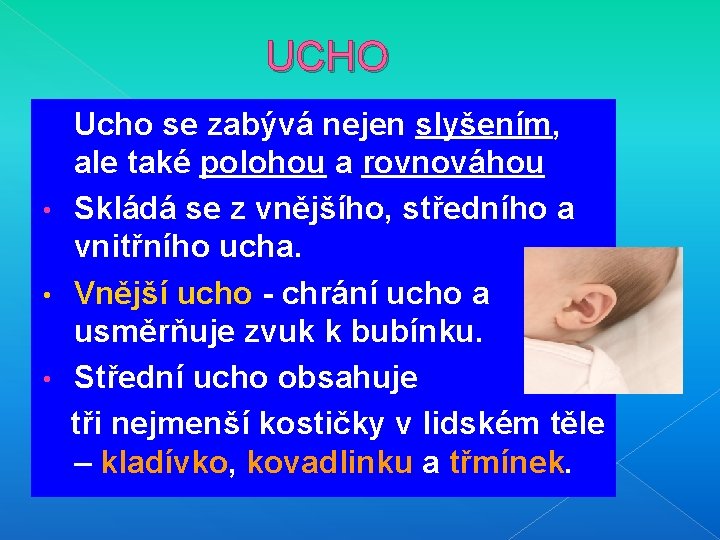 UCHO Ucho se zabývá nejen slyšením, ale také polohou a rovnováhou • Skládá se