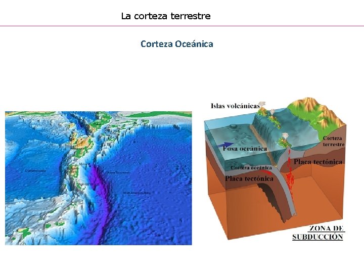 La corteza terrestre Corteza Oceánica 
