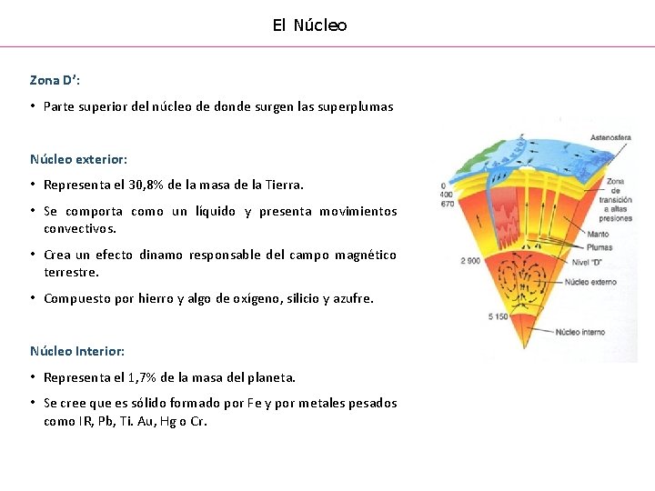 El Núcleo Zona D’: • Parte superior del núcleo de donde surgen las superplumas