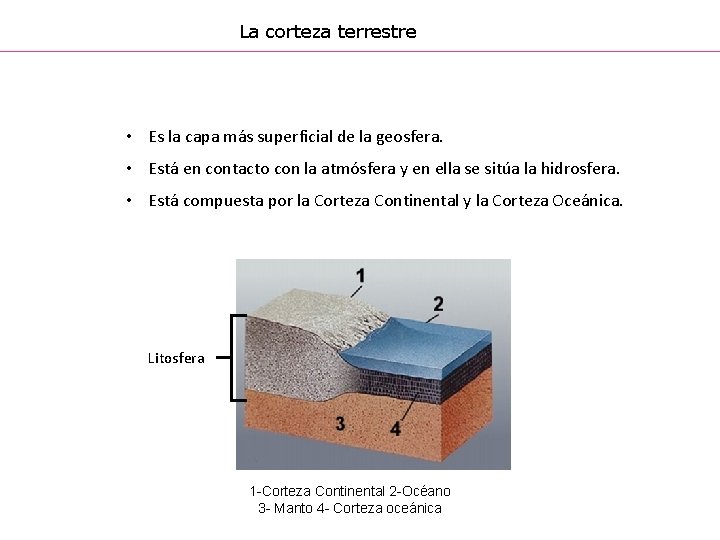 La corteza terrestre • Es la capa más superficial de la geosfera. • Está