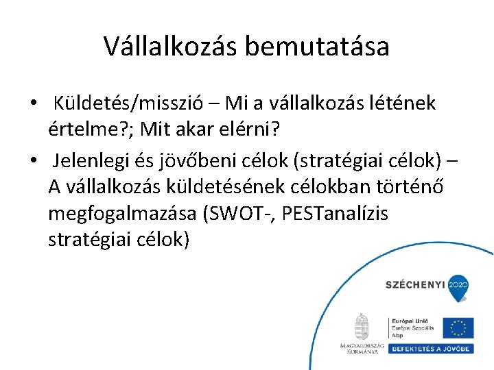 Vállalkozás bemutatása • Küldetés/misszió – Mi a vállalkozás létének értelme? ; Mit akar elérni?