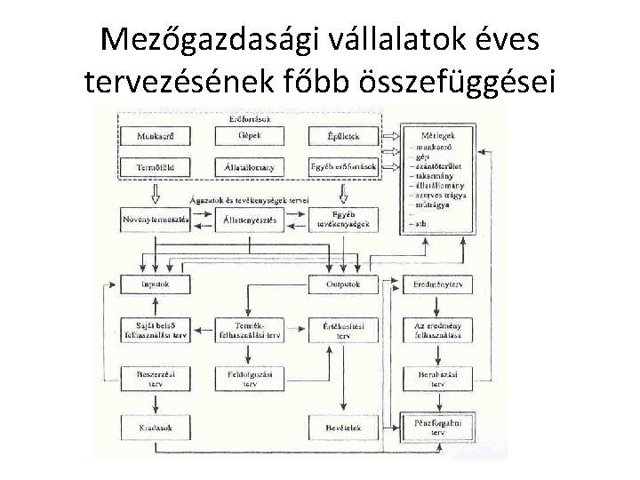 Mezőgazdasági vállalatok éves tervezésének főbb összefüggései 