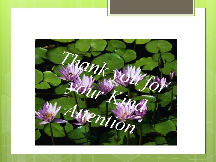 Than k you for your Kind Atten tion Than k you for your Kind Atten tion