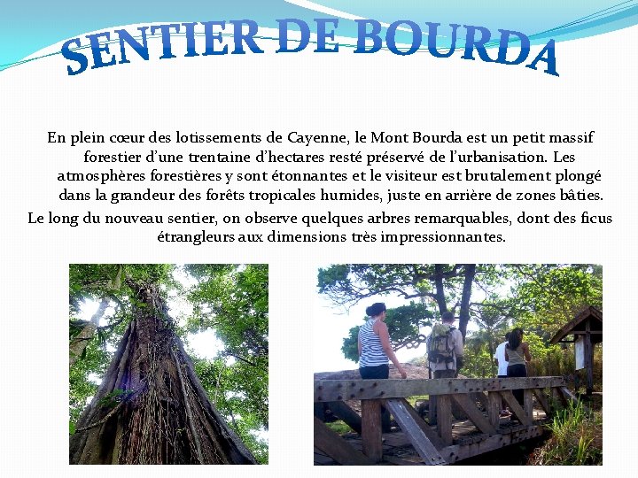 En plein cœur des lotissements de Cayenne, le Mont Bourda est un petit massif