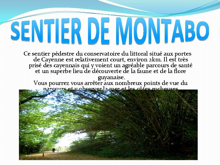 Ce sentier pédestre du conservatoire du littoral situé aux portes de Cayenne est relativement