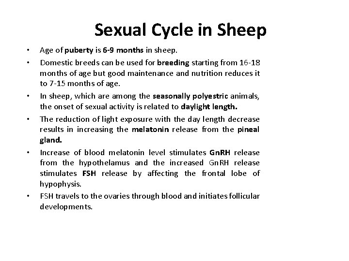 Sexual Cycle in Sheep • • • Age of puberty is 6 -9 months