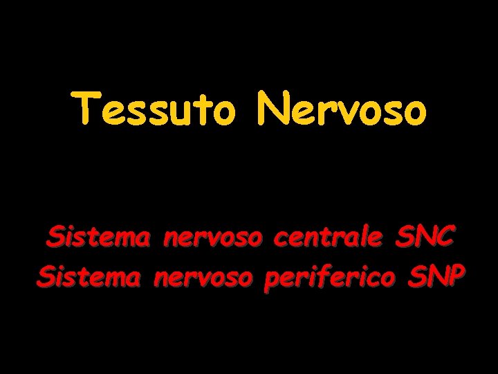 Tessuto Nervoso Sistema nervoso centrale SNC Sistema nervoso periferico SNP 