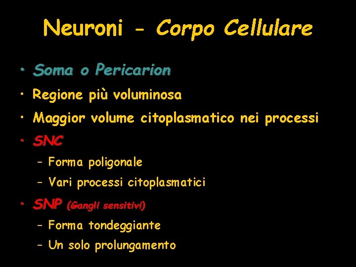 Neuroni - Corpo Cellulare • Soma o Pericarion • Regione più voluminosa • Maggior