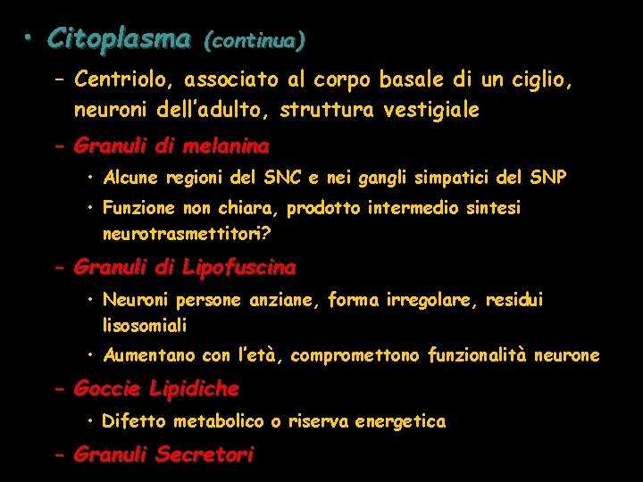  • Citoplasma (continua) – Centriolo, associato al corpo basale di un ciglio, neuroni