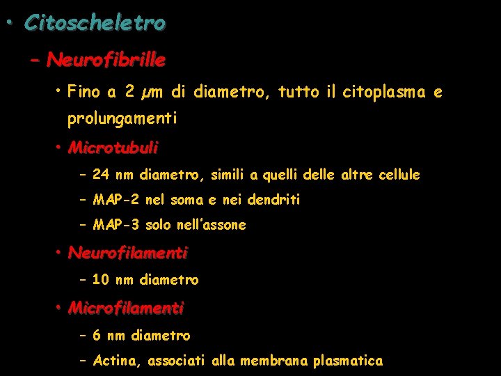  • Citoscheletro – Neurofibrille • Fino a 2 µm di diametro, tutto il