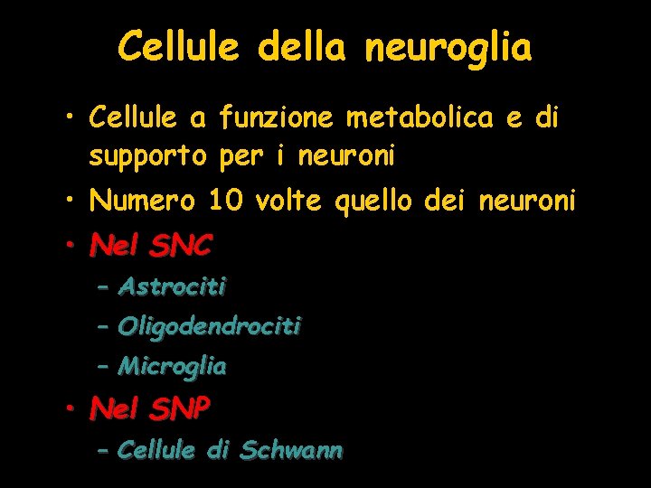 Cellule della neuroglia • Cellule a funzione metabolica e di supporto per i neuroni