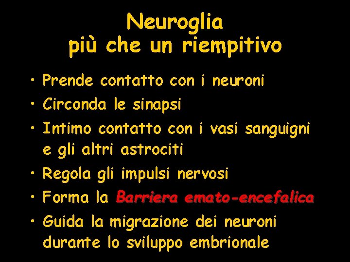 Neuroglia più che un riempitivo • Prende contatto con i neuroni • Circonda le