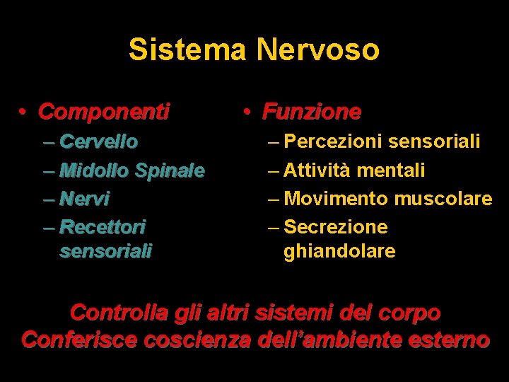 Sistema Nervoso • Componenti – Cervello – Midollo Spinale – Nervi – Recettori sensoriali