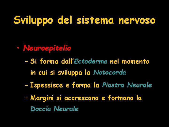 Sviluppo del sistema nervoso • Neuroepitelio – Si forma dall’Ectoderma nel momento in cui