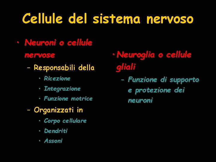 Cellule del sistema nervoso • Neuroni o cellule nervose – Responsabili della • Ricezione