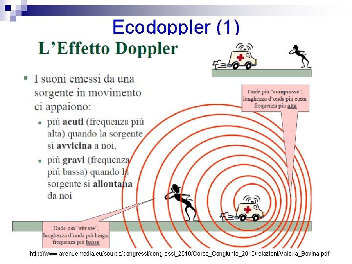 Ecodoppler (1) http: //www. avenuemedia. eu/source/congressi_2010/Corso_Congiunto_2010/relazioni/Valeria_Bovina. pdf 