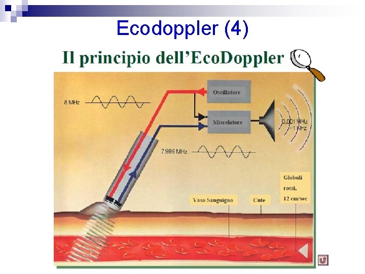 Ecodoppler (4) 