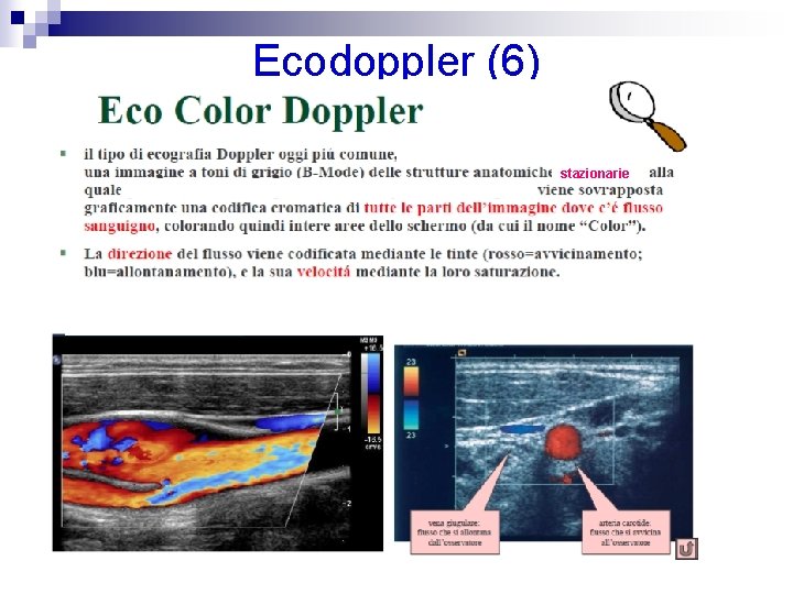 Ecodoppler (6) stazionarie 