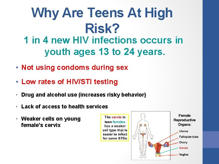 Why Are Teens At High Risk? 1 in 4 new HIV infections occurs in