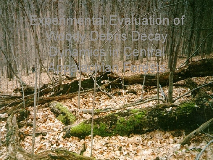 Experimental Evaluation of Woody Debris Decay Dynamics in Central Appalachian Forests 