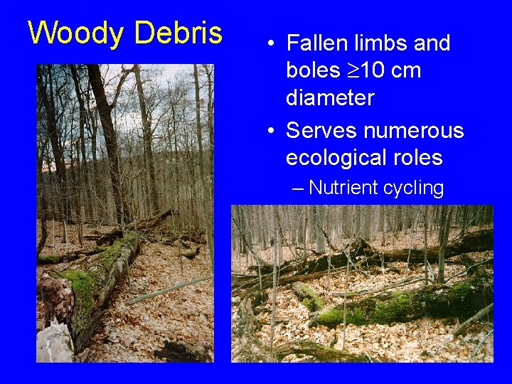 Woody Debris • Fallen limbs and boles 10 cm diameter • Serves numerous ecological