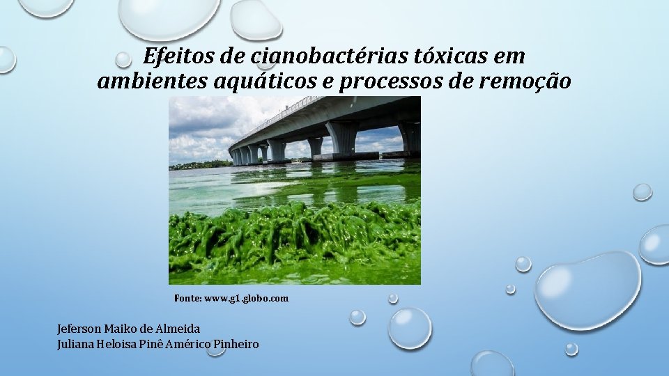 Efeitos de cianobactérias tóxicas em ambientes aquáticos e processos de remoção Fonte: www. g