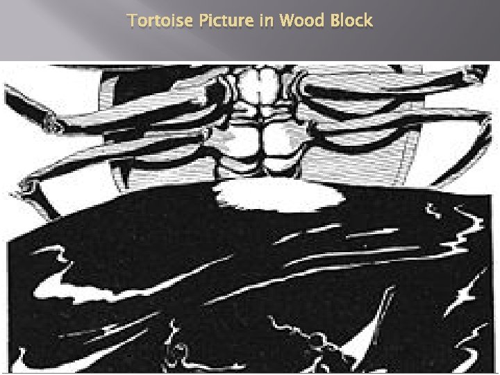 Tortoise Picture in Wood Block 