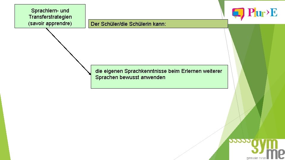 Sprachlern- und Transferstrategien (savoir apprendre) Der Schüler/die Schülerin kann: die eigenen Sprachkenntnisse beim Erlernen