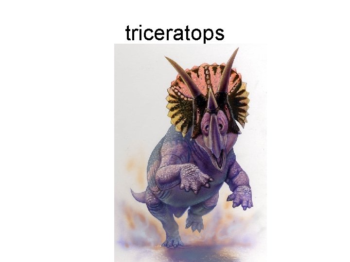 triceratops 