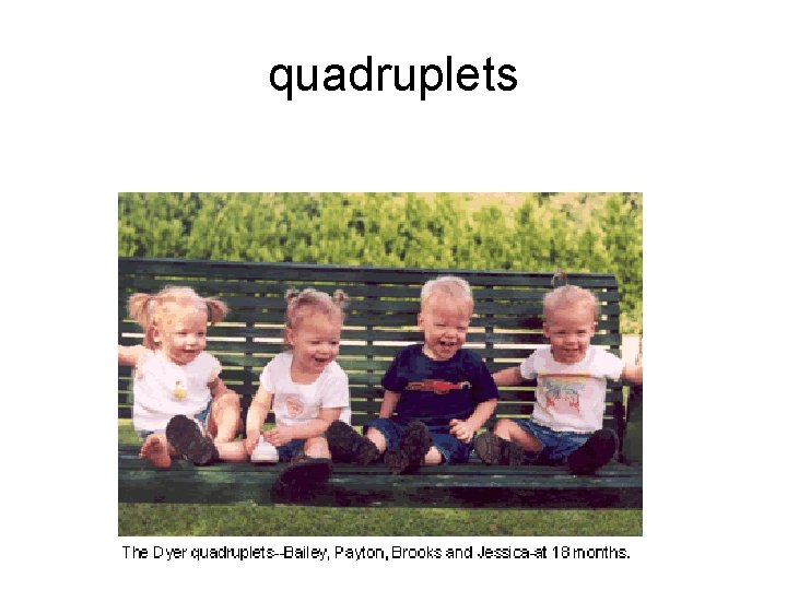 quadruplets 