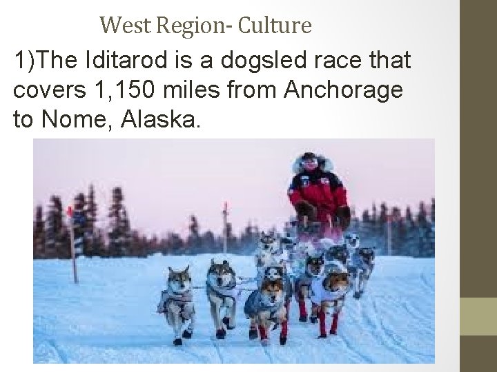 West Region- Culture 1)The Iditarod is a dogsled race that covers 1, 150 miles