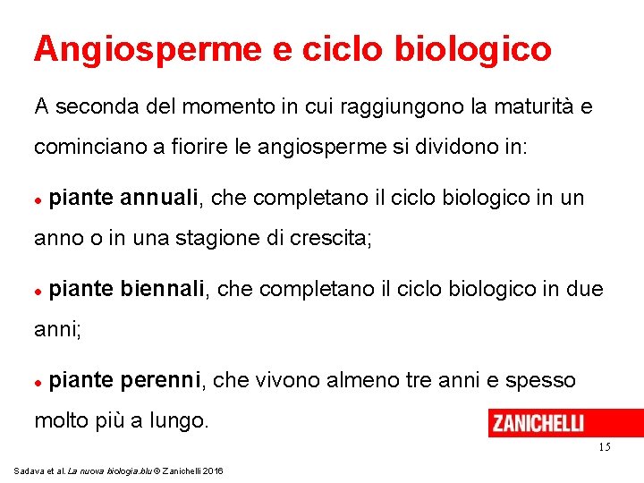 Angiosperme e ciclo biologico A seconda del momento in cui raggiungono la maturità e