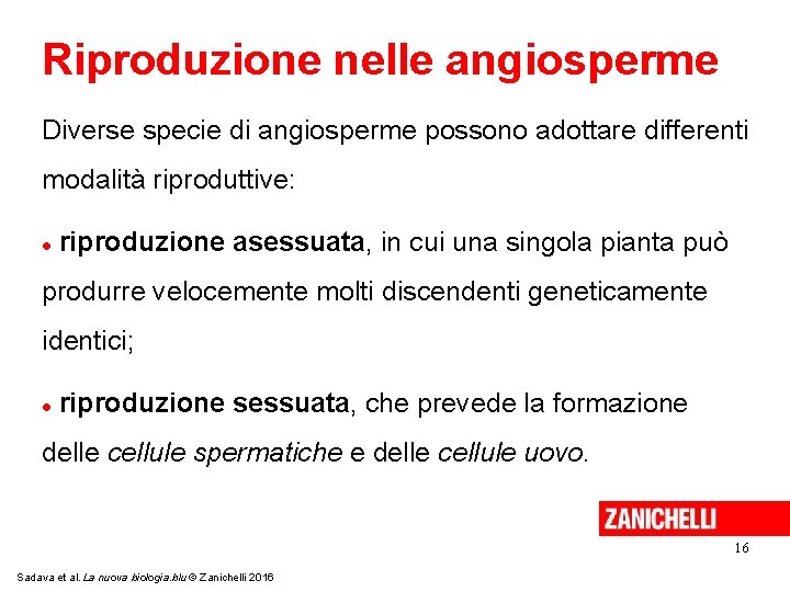 Riproduzione nelle angiosperme Diverse specie di angiosperme possono adottare differenti modalità riproduttive: riproduzione asessuata,