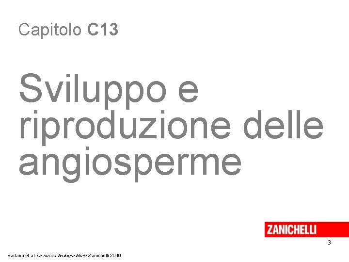 Capitolo C 13 Sviluppo e riproduzione delle angiosperme 3 Sadava et al. La nuova