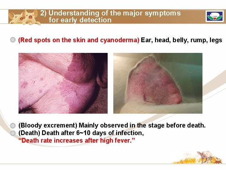 2) Understanding of the major symptoms for early detection (Red spots on the skin