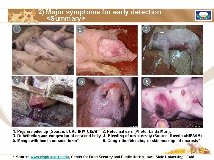 2) Major symptoms for early detection <Summary> 1 2 3 4 5 6 1.