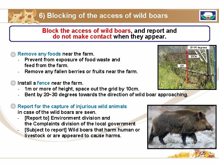 6) Blocking of the access of wild boars Block the access of wild boars,