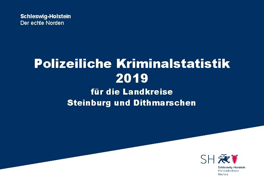 Schleswig-Holstein Der echte Norden Polizeiliche Kriminalstatistik 2019 für die Landkreise Steinburg und Dithmarschen 