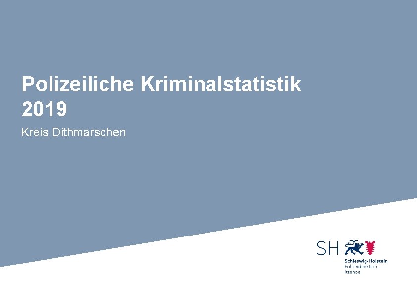 Polizeiliche Kriminalstatistik 2019 Kreis Dithmarschen 